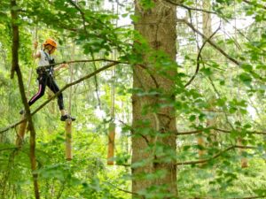 Inträde till höghöjdsbana Kungsbygget Äventyrspark