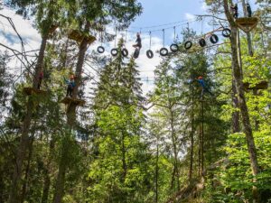 Höghöjdsbana hos Dalslands Aktiviteter