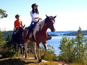 Ridtur i Dalslands – 1 timme