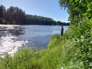 Halvdagsfiske i Byske- eller Åbyälven