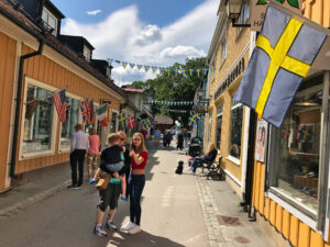Heldags vikingatur från Stockholm till Sigtuna och Uppsala