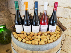 4 Ikoniska italienska viner | Göteborg