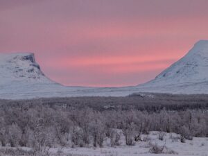 Abisko nationalpark: Naturskön morgonvandring med transfer