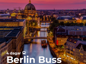 Berlin Buss
