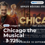 Chicago the Musical