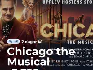 Chicago the Musical