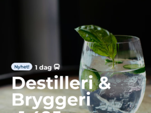 Destilleri & Bryggeri