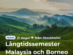 Långtidssemester Malaysia och Borneo