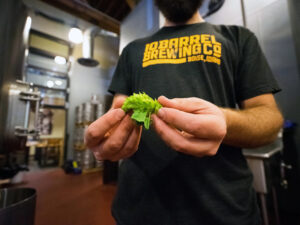 Ölbryggarkurs steg 1 | Göteborg