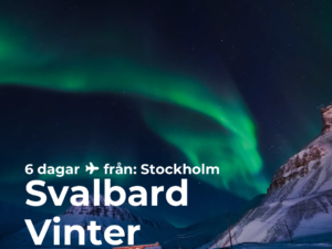 Svalbard Vinter