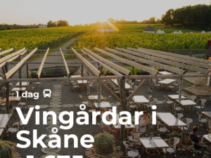 Vingårdar i Skåne