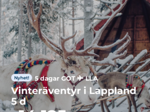 Vinteräventyr i Lappland 5 d