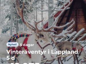 Vinteräventyr i Lappland 5 d