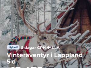 Vinteräventyr i Lappland 5 d