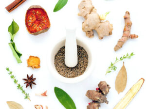 Japansk-peruansk fusion matlagningskurs | Stockholm