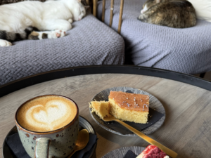 Kattcafé Stockholm