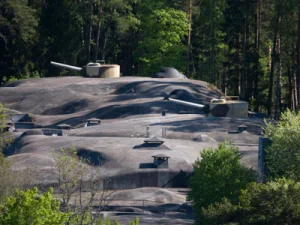 Siaröfortet med guidad tur & lunch