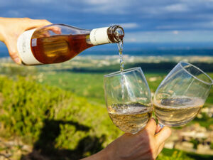 Vinresan genom Italien | Stockholm